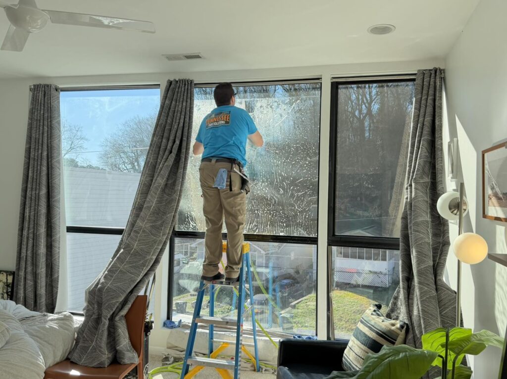 bird safety window film